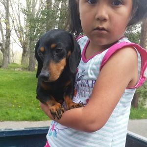 Meet your Posher, Yadira